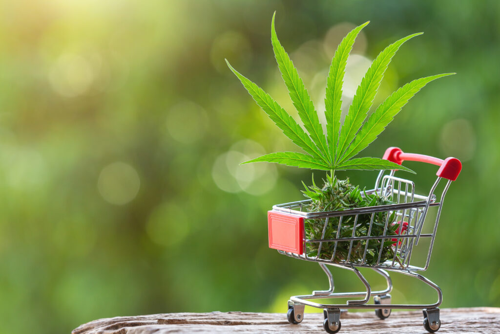 SEO for cannabis industry